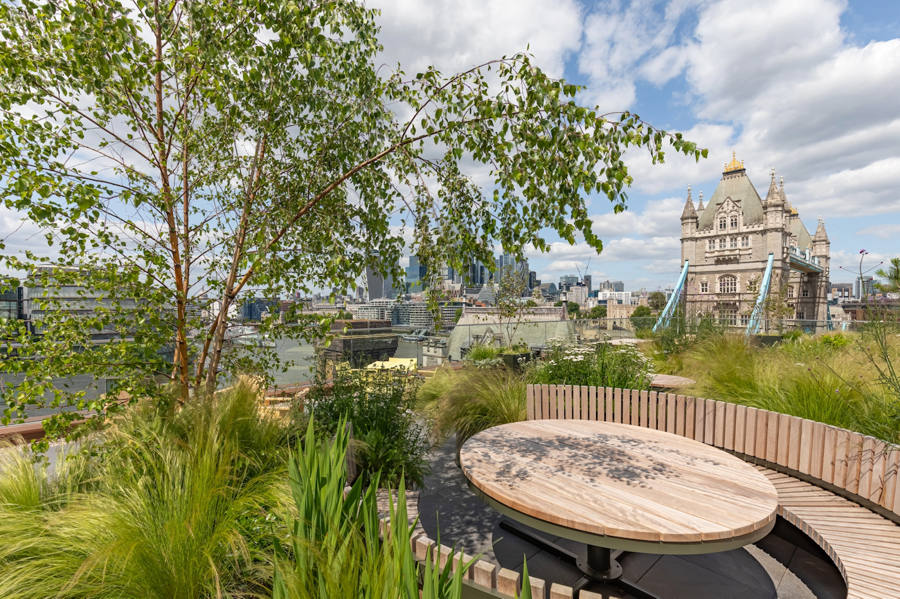 roof terrace design