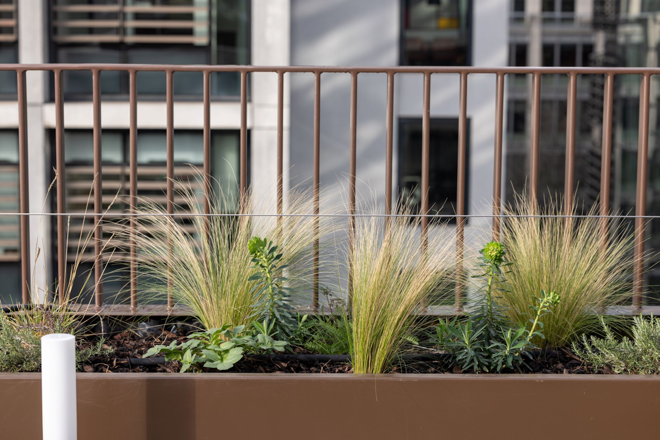 office roof terrace planter system