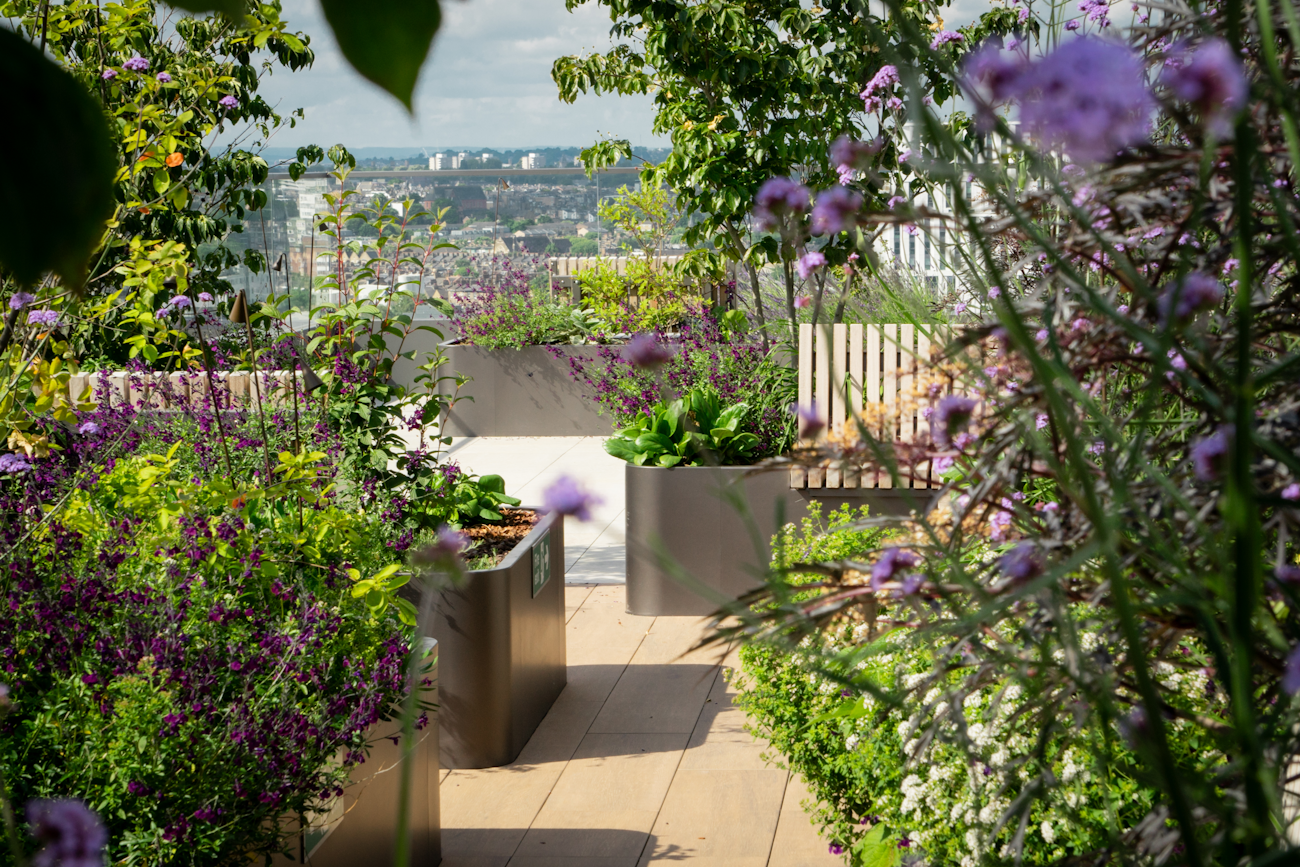 roof terrace system
