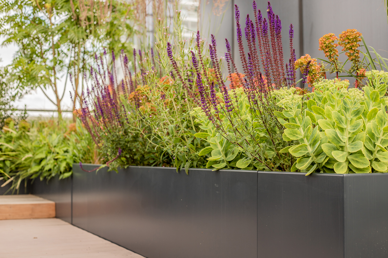 Planters at Hoxton Rooftop Terrace