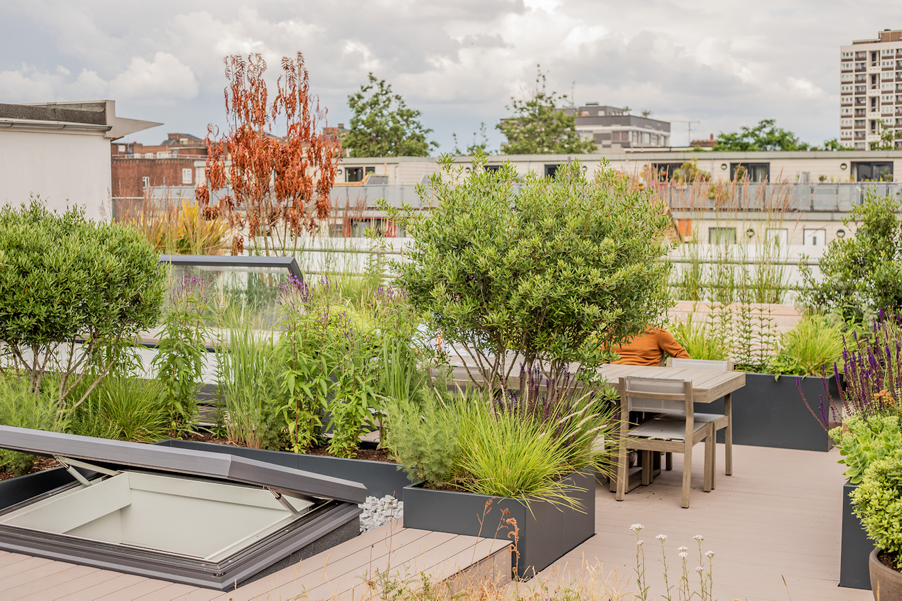 Roof garden with planters