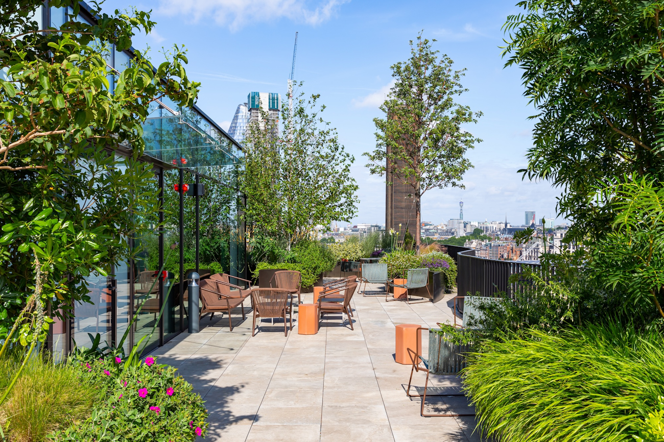 Park Street Roof Terrace