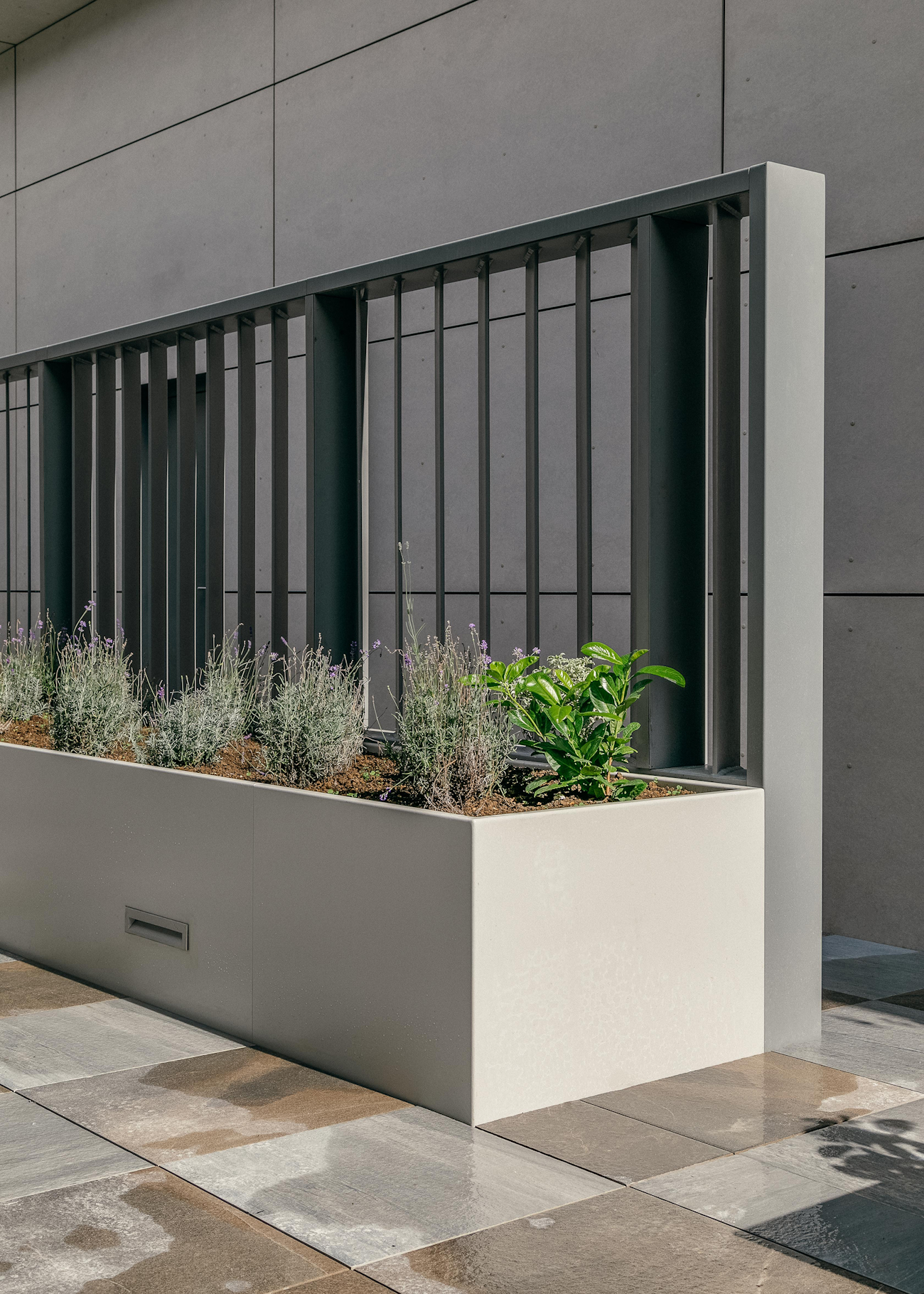 Porcelain Tiles and Straight Wall Planters at Vega Roof Terrace, Miles Street