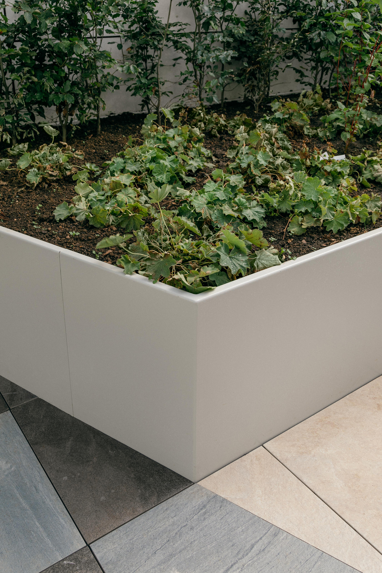 Porcelain Tiles and Straight Wall Planters at Vega Roof Terrace, Miles Street